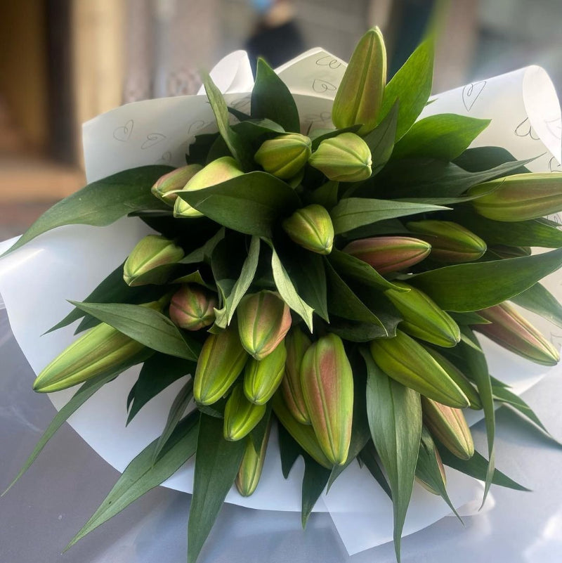 Elegant Lillies