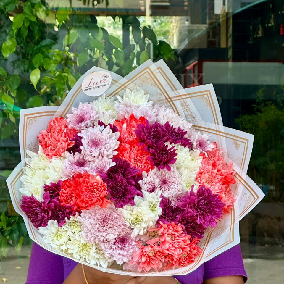 Mums Colorburst