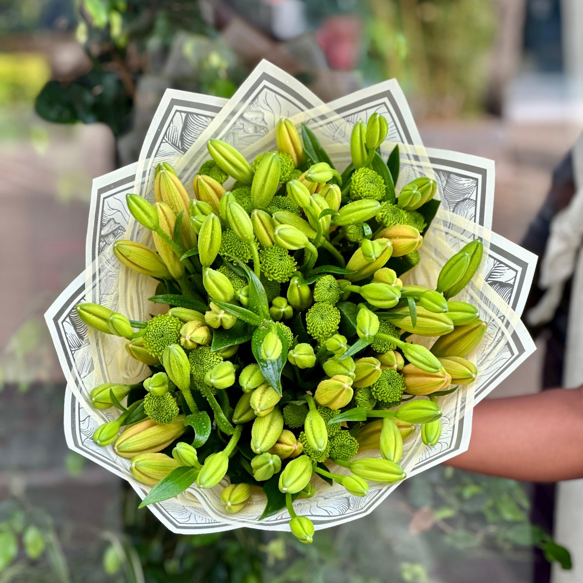 Pure Lillies