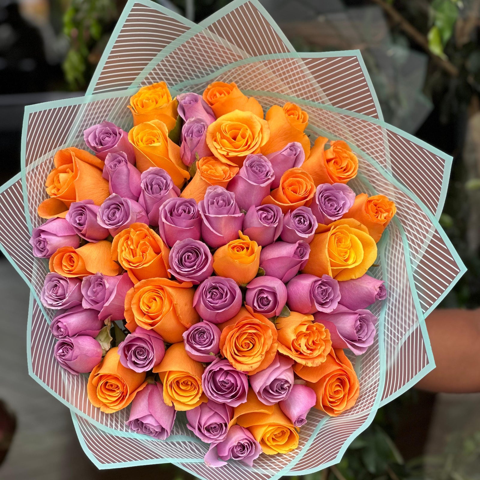 Colors Of Love-Purple and Orange