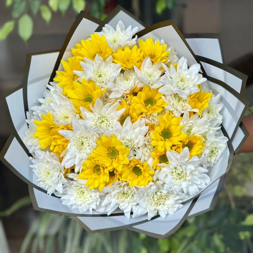 Sunset Chrysanthemums