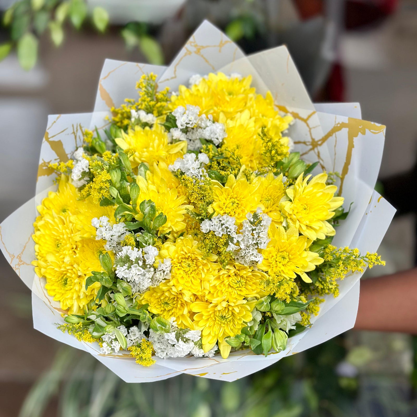 Summer Yellow Mums